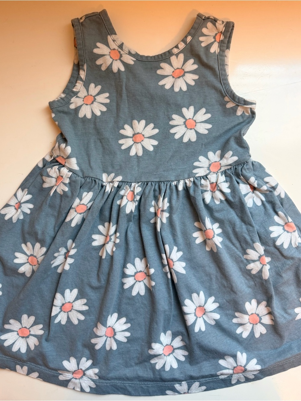 3T bundle -  Two Carter’s Dresses